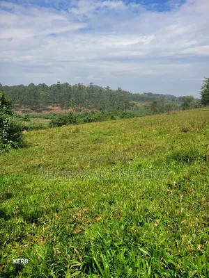 Massive Land in Nakaseke, Nakasongola and Masaka for Sale