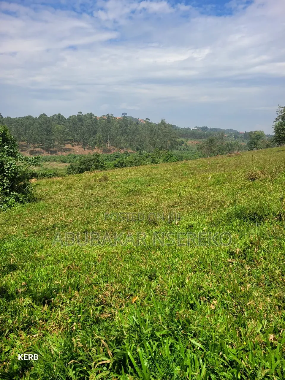 Massive Land in Nakaseke, Nakasongola and Masaka for Sale