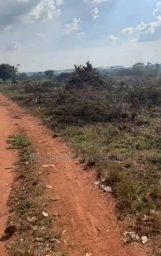Massive Land in Nakaseke, Nakasongola and Masaka for Sale
