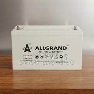 ALLGRAND 12V 65Ah Sealed Gel Battery – Spill-Proof & Long Lasting NAJ