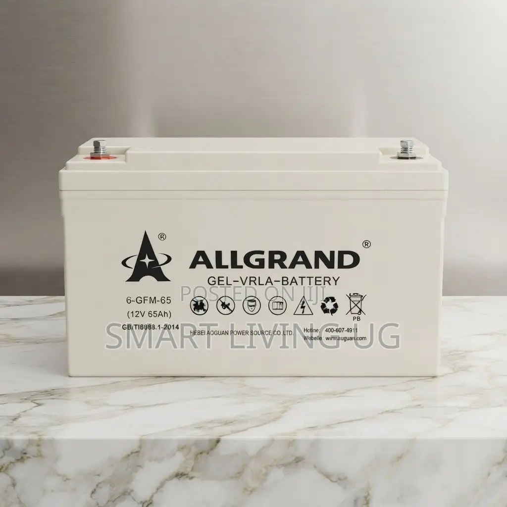 Efficient Energy Storage: ALLGRAND 6-GFM-65 VRLA Gel Battery