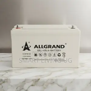 Efficient Energy Storage: ALLGRAND 6-GFM-65 VRLA Gel Battery
