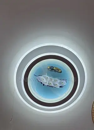 Ceiling Light