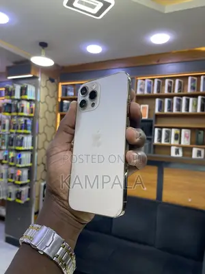 Apple iPhone 12 Pro Max 256 GB Gold