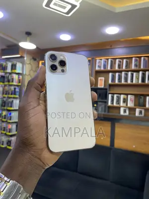 Apple iPhone 12 Pro Max 256 GB Gold