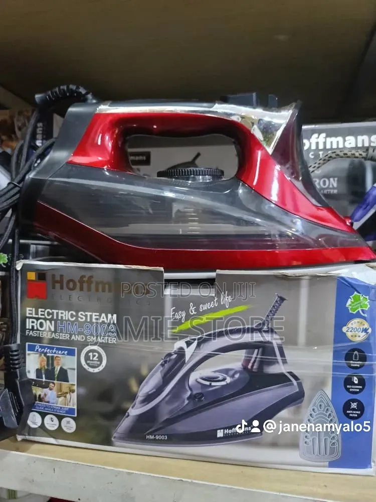 Hoffman Steam  Iron/Electric Flat Iron