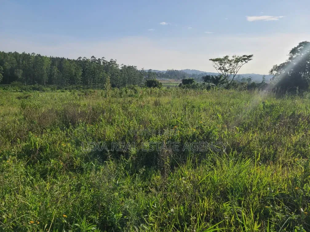 50x100 in Kalagala-Gayaza Road