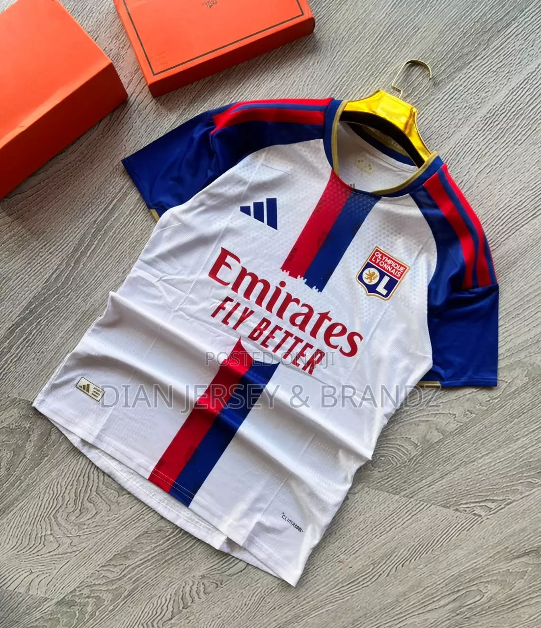 Dian Jersey & Brandz