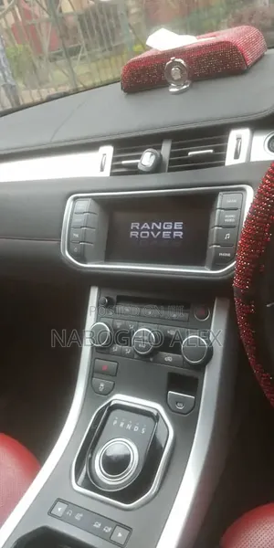 Car 2010 Maroon