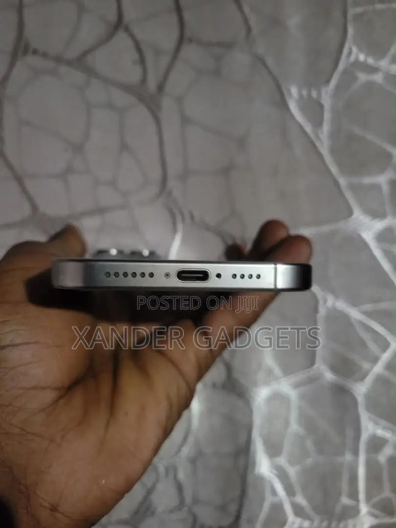 Apple iPhone 15 Pro Max 256 GB Gray