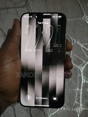 Apple iPhone 15 Pro Max 256 GB Gray