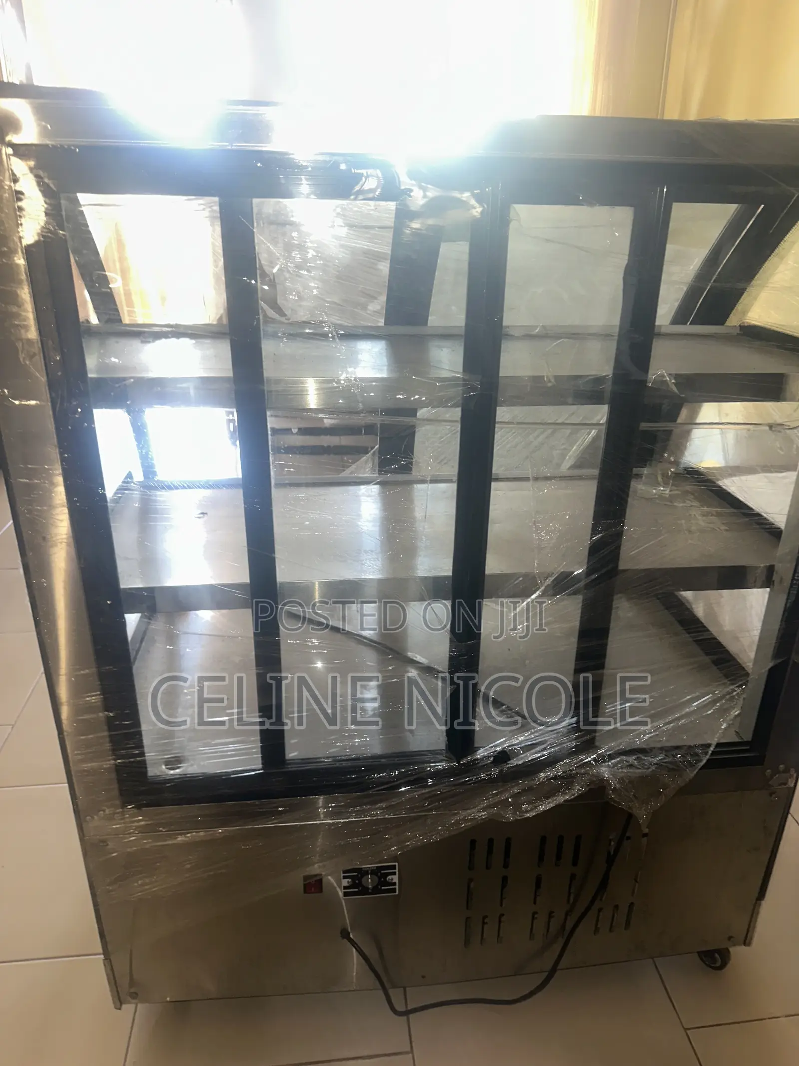 Meat and Ice Cream Fridge and Display