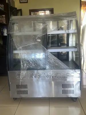Meat and Ice Cream Fridge and Display
