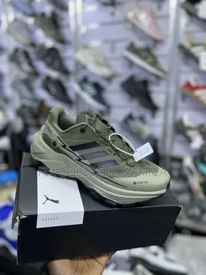 Original Olive Green Adidas Terrex GORE-TEX Hiking Sneakers