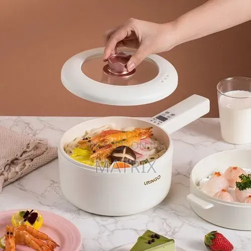 Electric Food and Soup Steamer Pot Saucepan - 2 Layers