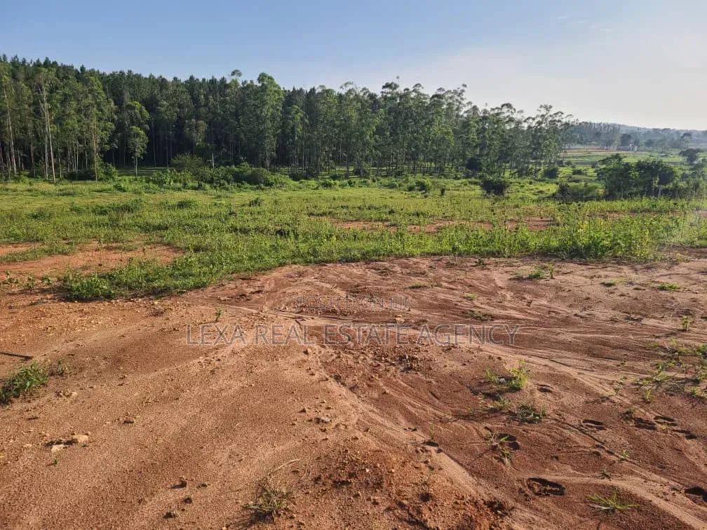 100x100 Plots in Kalagala, Gayaza Road