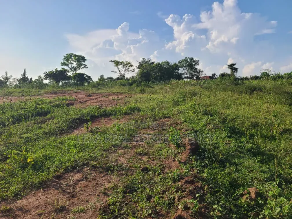 100x100 Plots in Kalagala, Gayaza Road