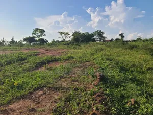 100x100 Plots in Kalagala, Gayaza Road
