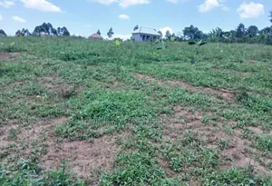 Prime Plots for Sale at Nakirebe~Kyeyitabya Land Estate~Masaka Road.