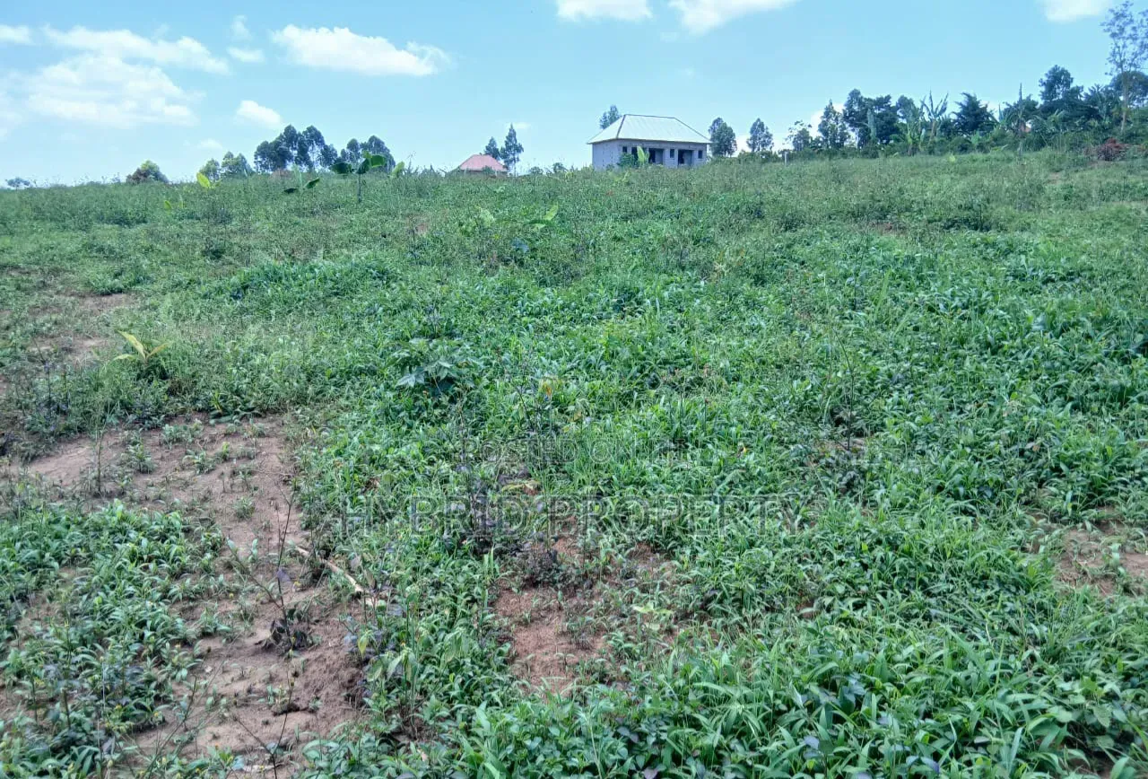 Prime Plots for Sale at Nakirebe~Kyeyitabya Land Estate~Masaka Road.