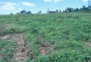 Prime Plots for Sale at Nakirebe~Kyeyitabya Land Estate~Masaka Road.