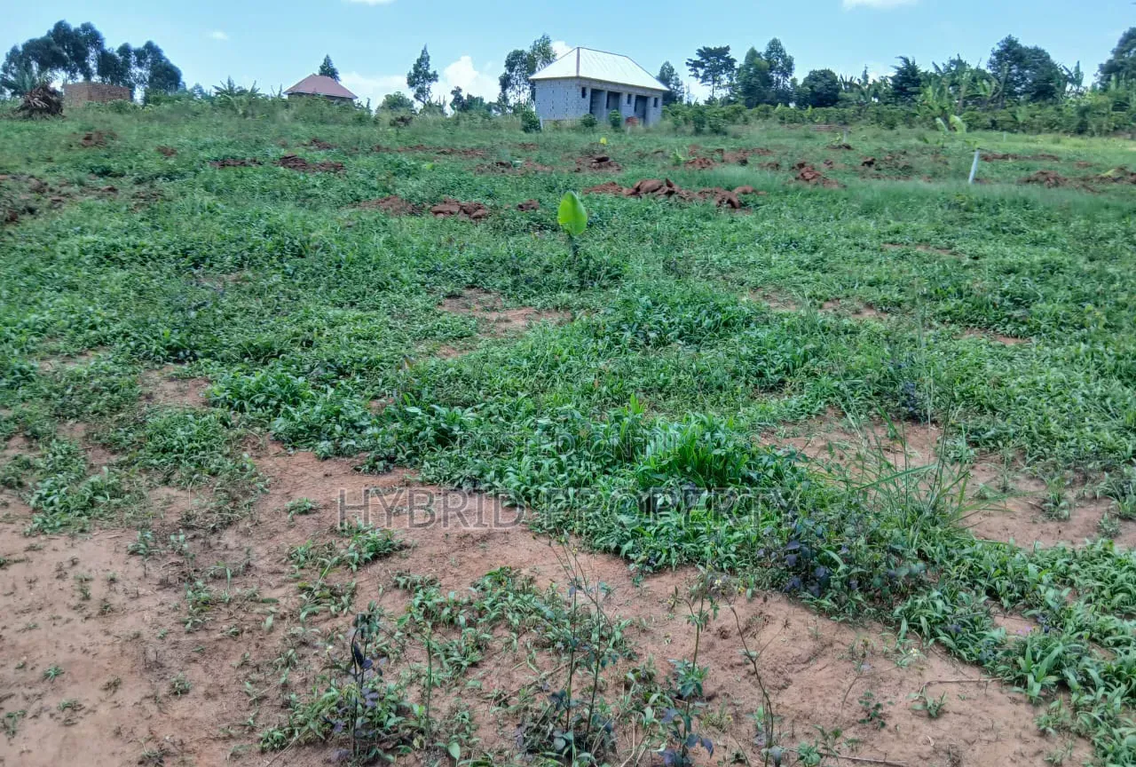 Prime Plots for Sale at Nakirebe~Kyeyitabya Land Estate~Masaka Road.
