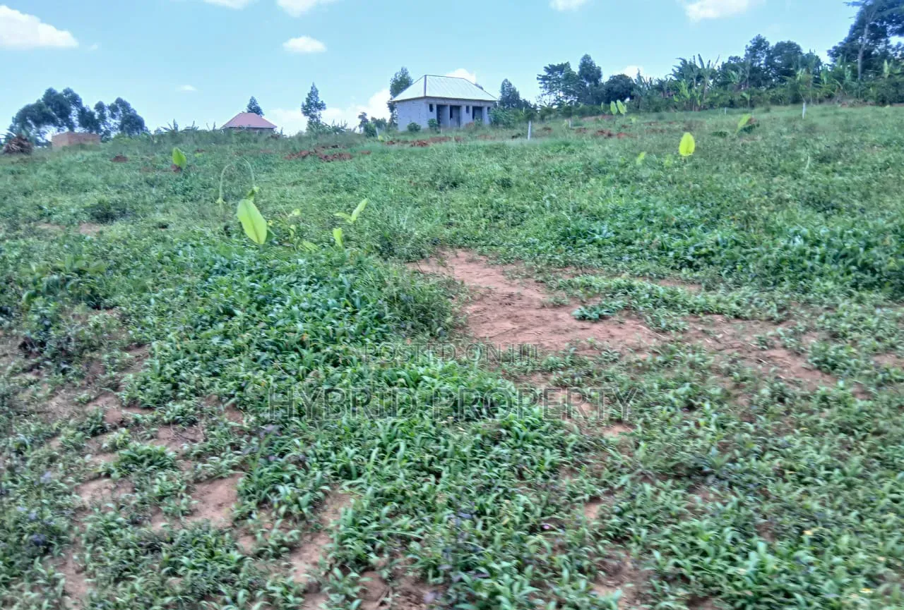 Prime Plots for Sale at Nakirebe~Kyeyitabya Land Estate~Masaka Road.