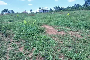 Prime Plots for Sale at Nakirebe~Kyeyitabya Land Estate~Masaka Road.