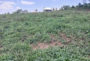 Prime Plots for Sale at Nakirebe~Kyeyitabya Land Estate~Masaka Road.