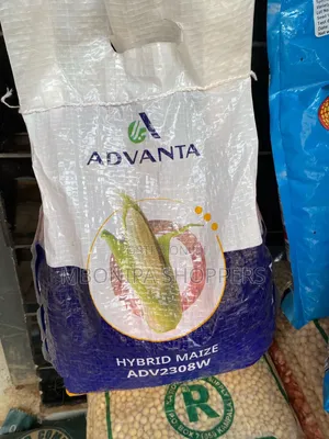 Advanta – Hybrid Maize ADV 2308W