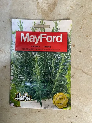 Hybrid Rosemary
Seeds
