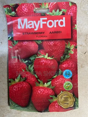 Mayford Strawberry Mega Pack Seeds