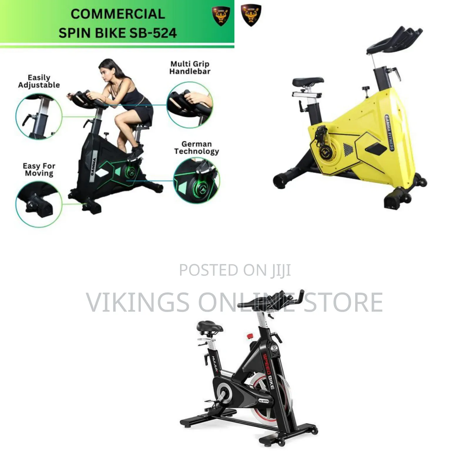 Commercial Spin Bike SB-524, an Indoor Stationary Exercise Bike