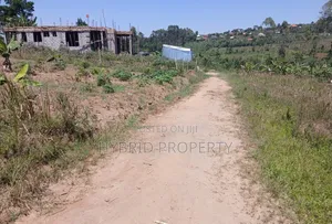 Prime Plots for Sale at Katende~Kiringente Divine Estate~Masaka Road.