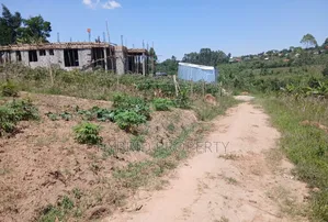Prime Plots for Sale at Katende~Kiringente Divine Estate~Masaka Road.