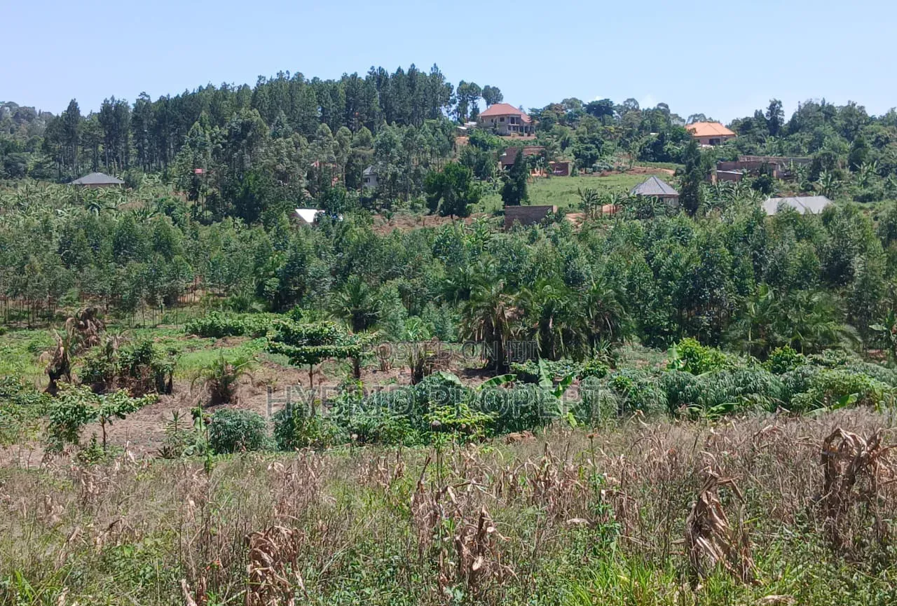 Prime Plots for Sale at Katende~Kiringente Divine Estate~Masaka Road.