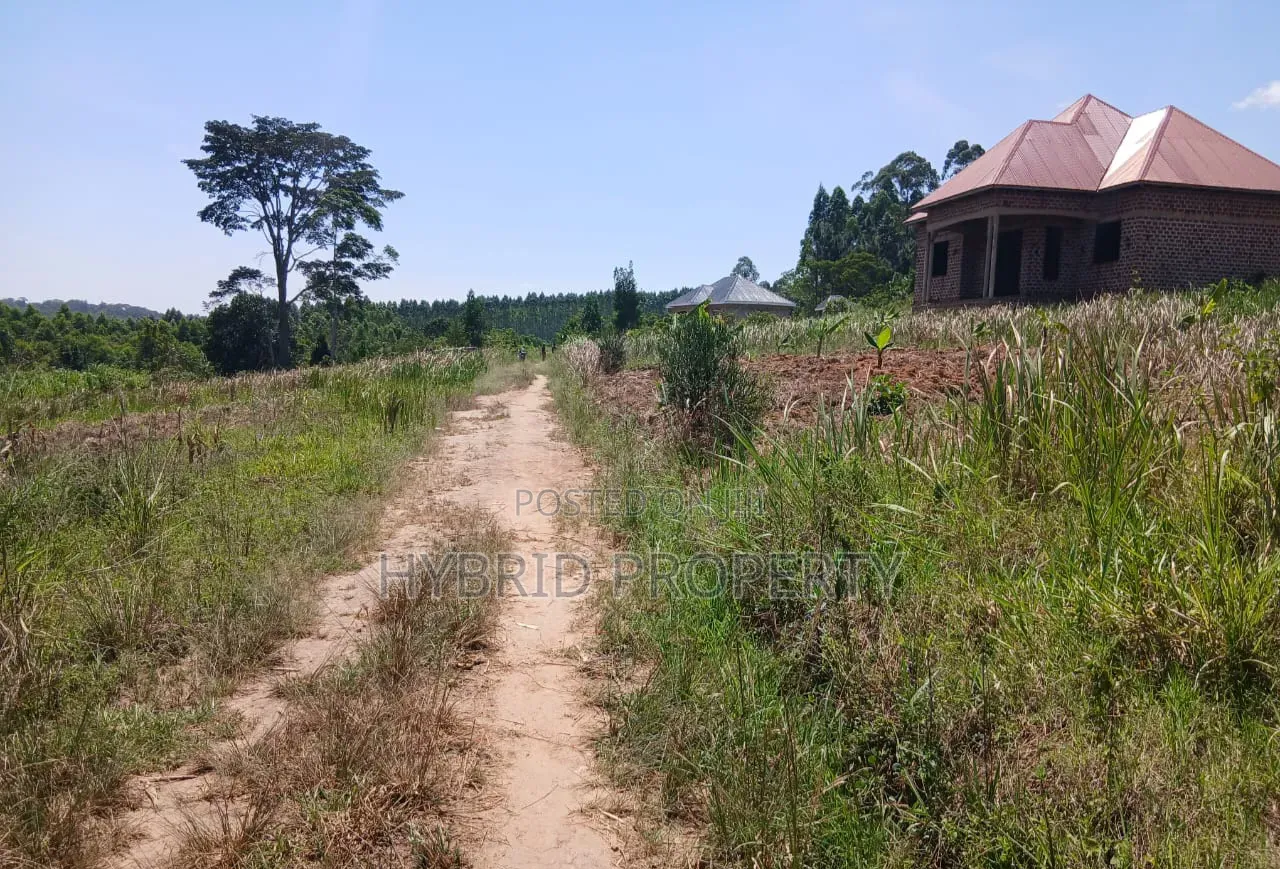 Prime Plots for Sale at Katende~Kiringente Divine Estate~Masaka Road.