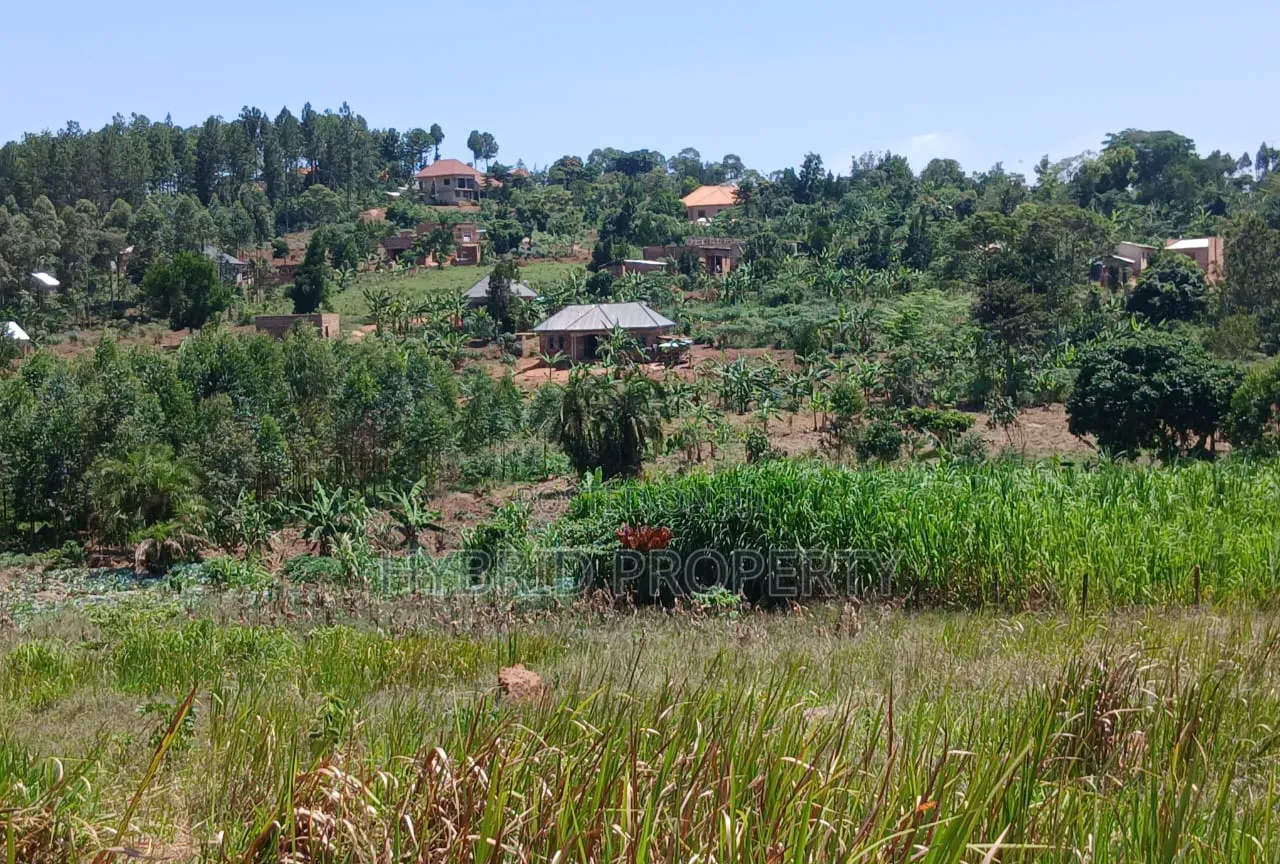 Prime Plots for Sale at Katende~Kiringente Divine Estate~Masaka Road.