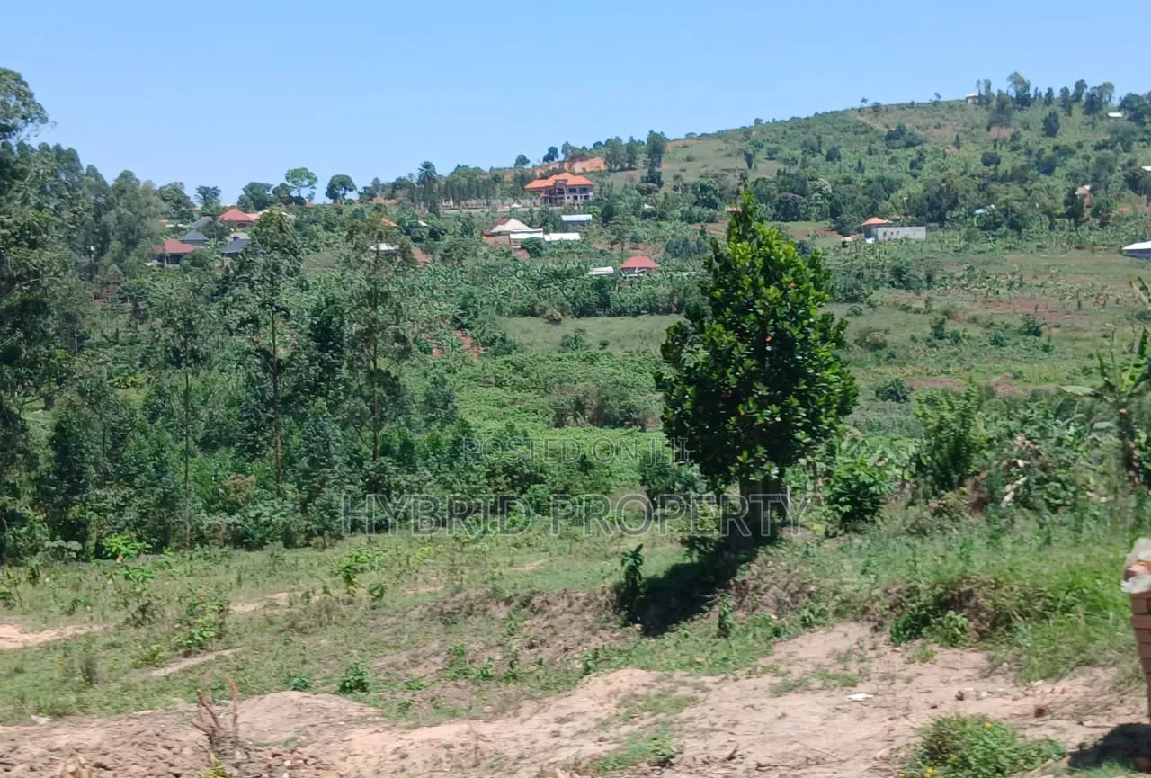 Prime Plots for Sale at Katende~Kiringente Divine Estate~Masaka Road.