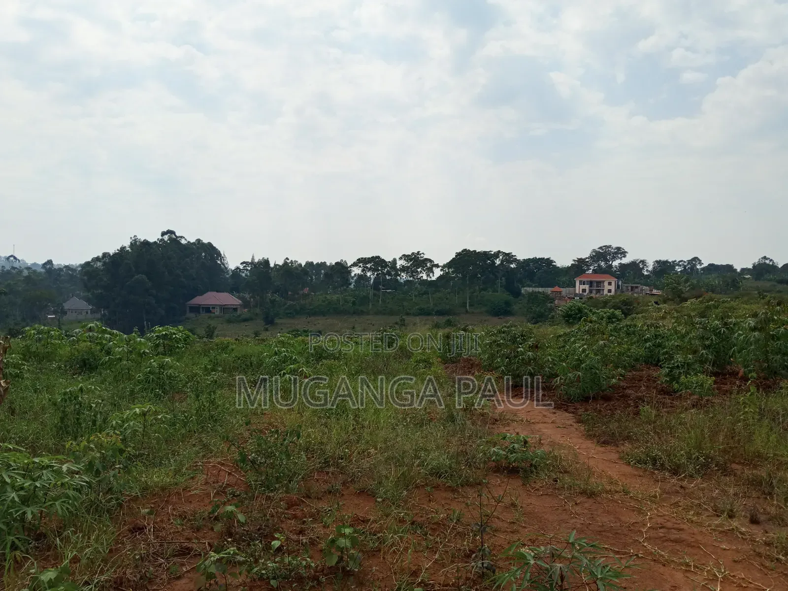 Plots for Sale in Nakasajja Kasenene at 20m