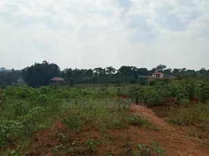 Plots for Sale in Nakasajja Kasenene at 20m