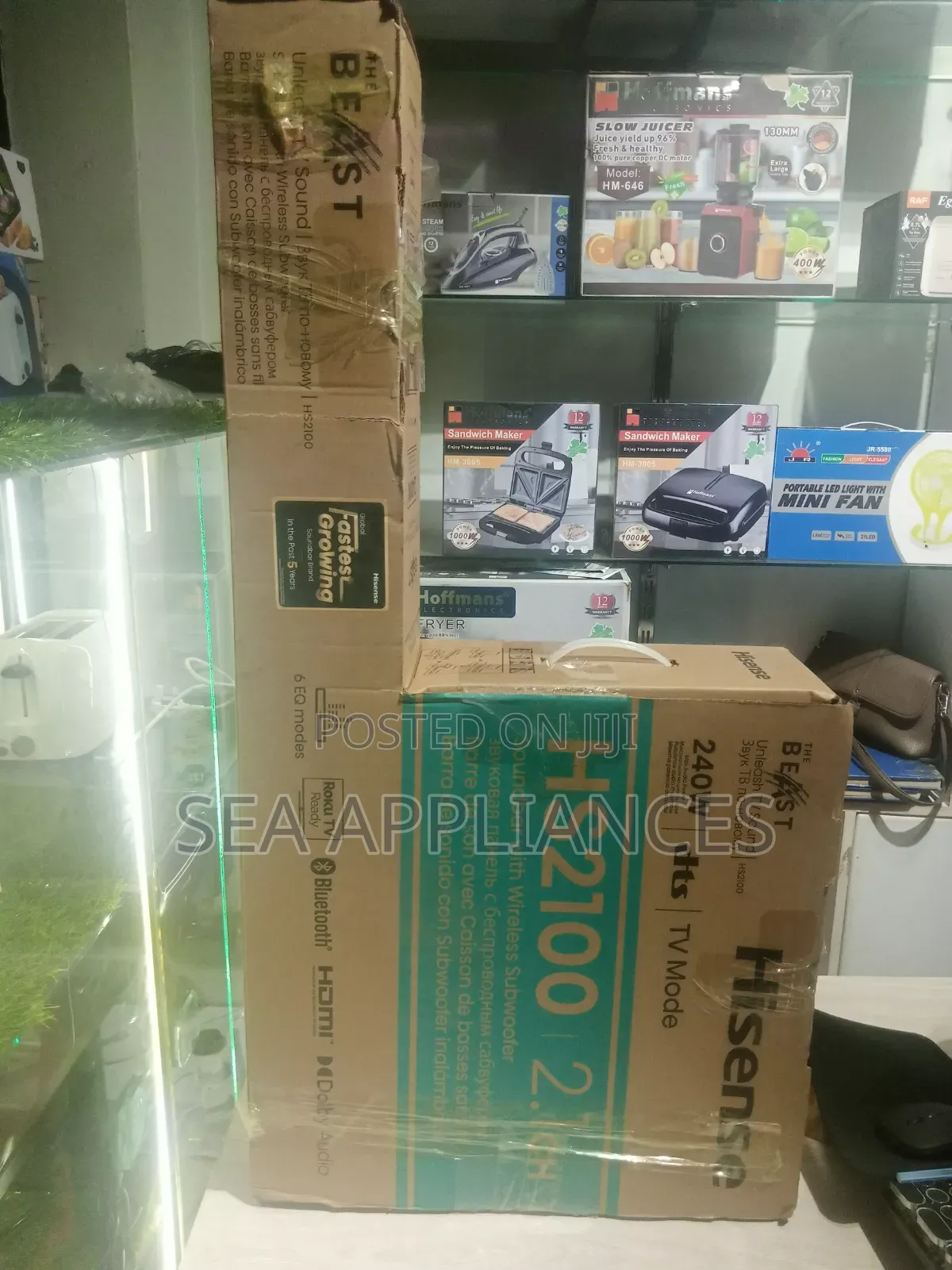 Hisense the Beast