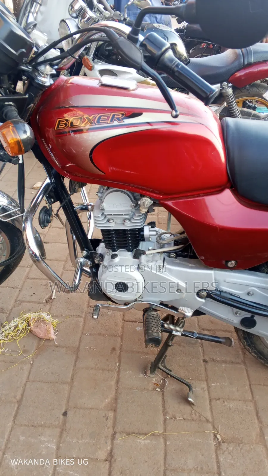 Bajaj Boxer 100 2025 Red