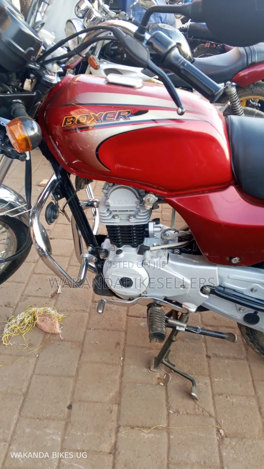 Bajaj Boxer 100 2025 Red