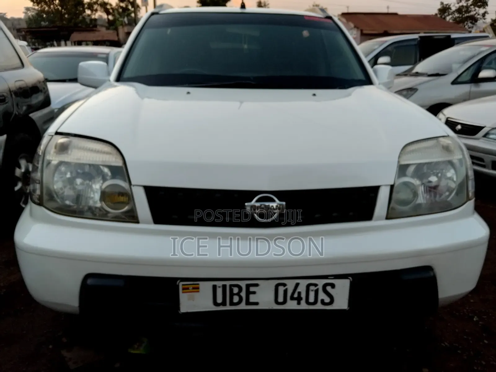 Nissan X-Trail 2004 Pearl