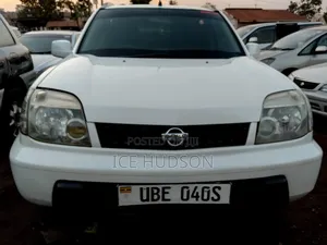 Nissan X-Trail 2004 Pearl