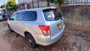 Toyota Corolla Fielder 2010 Silver