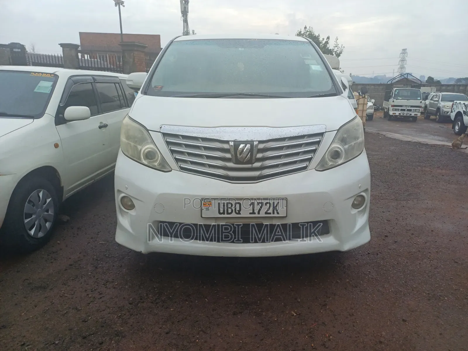 Toyota Alphard 2010 Pearl