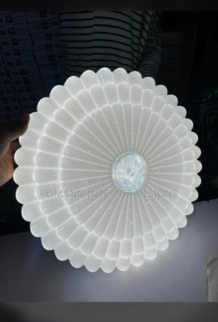 72W Ceiling Light
