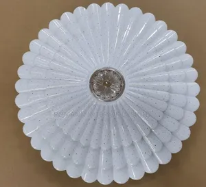 72W Ceiling Light